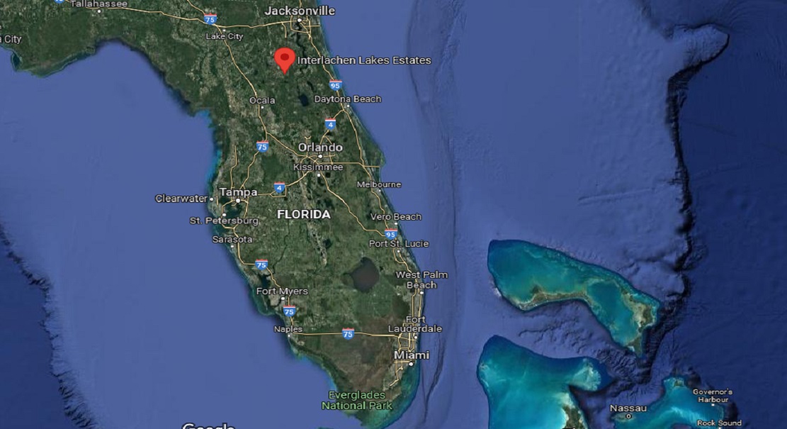 Lot For Sale Interlachen Lakes Estates Msbu Putnam FL 0.220 acres